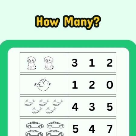 number-count-and-match