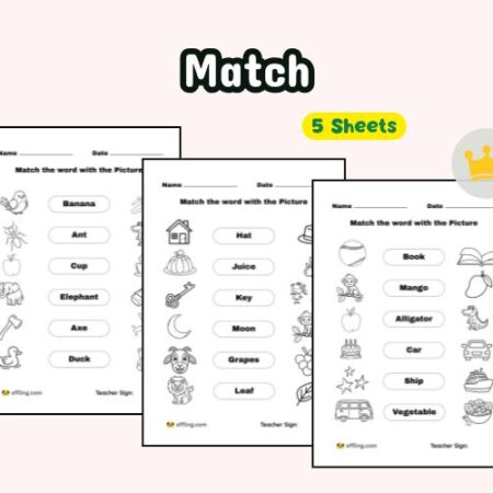 match-with-image-with-word-english-worksheet-ukg