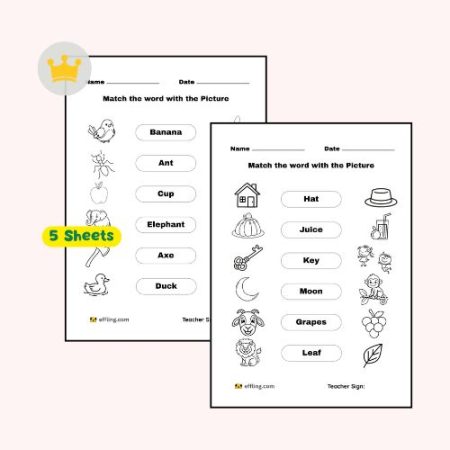 match-with-image-with-word-english-worksheet-ukg